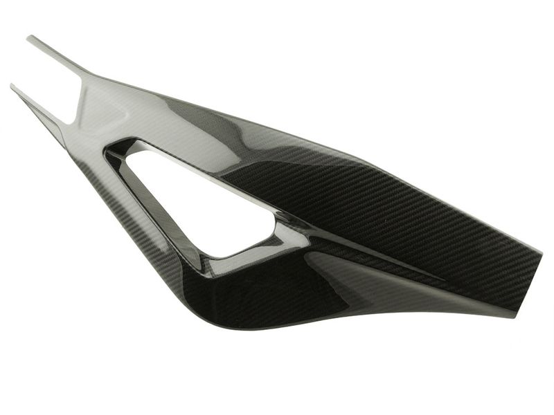 swingarmcover carbon for BMW
