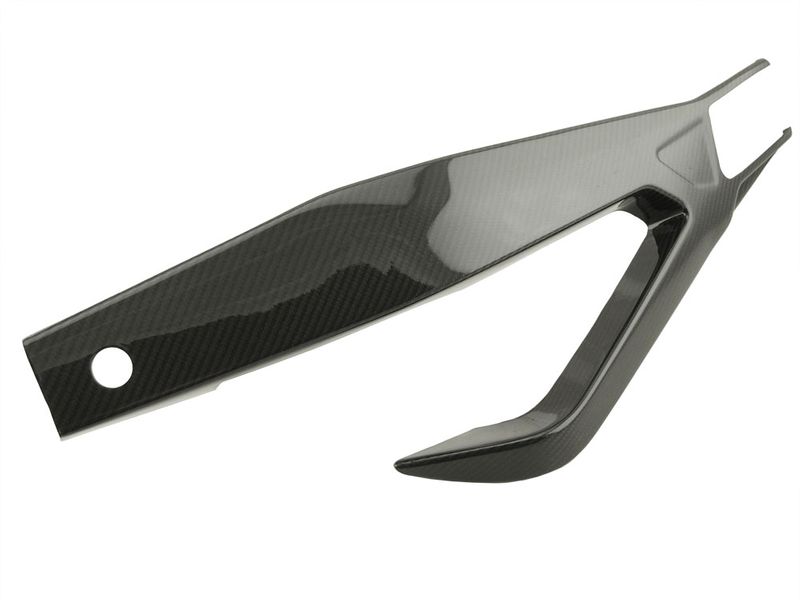 swingarmcover carbon for BMW