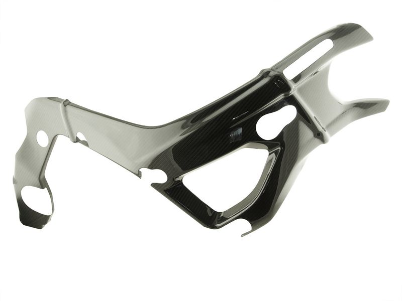 frame cover carbon for BMW