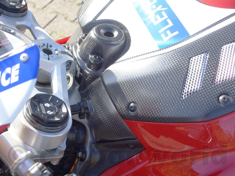 key guard carbon Ducati Panigale V4