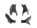 winglet kit Carbon for Ducati Multistrada V4