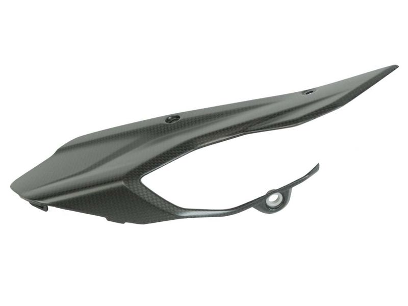 front chain cover Carbon for Ducati Multistrada V4