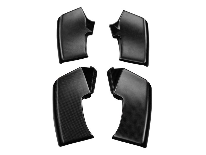 Winglets carbon for Ducati Streetfighter V4 V2