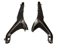 tail panels carbon Ducati Streetfighter V4