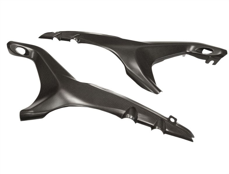 tail panels carbon Ducati Streetfighter V4