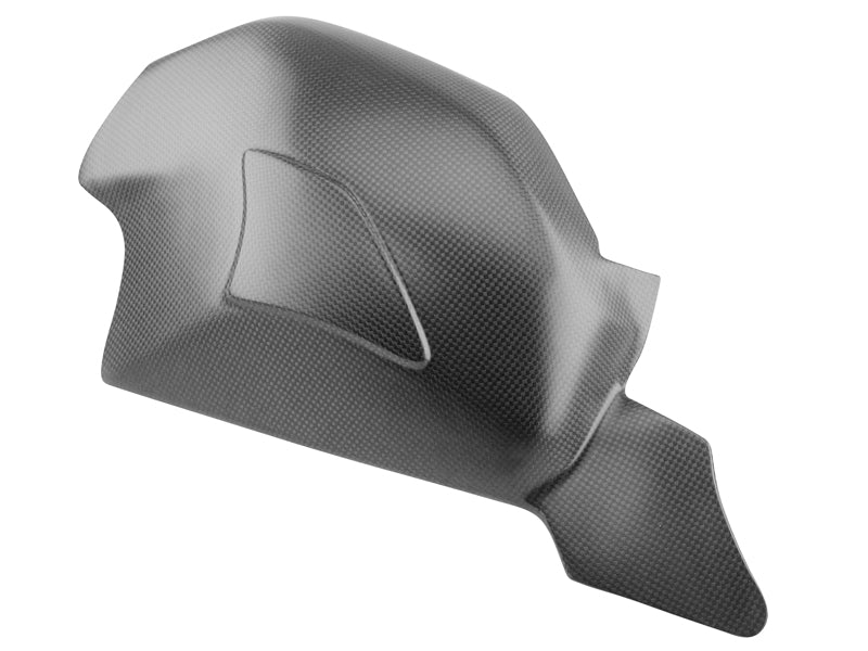 swingarm cover carbon Ducati Panigale V4
