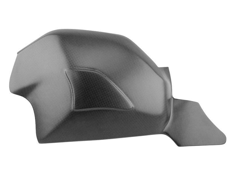 swingarm cover carbon Ducati Panigale V4
