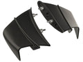 Winglets carbon for Ducati Panigale V4