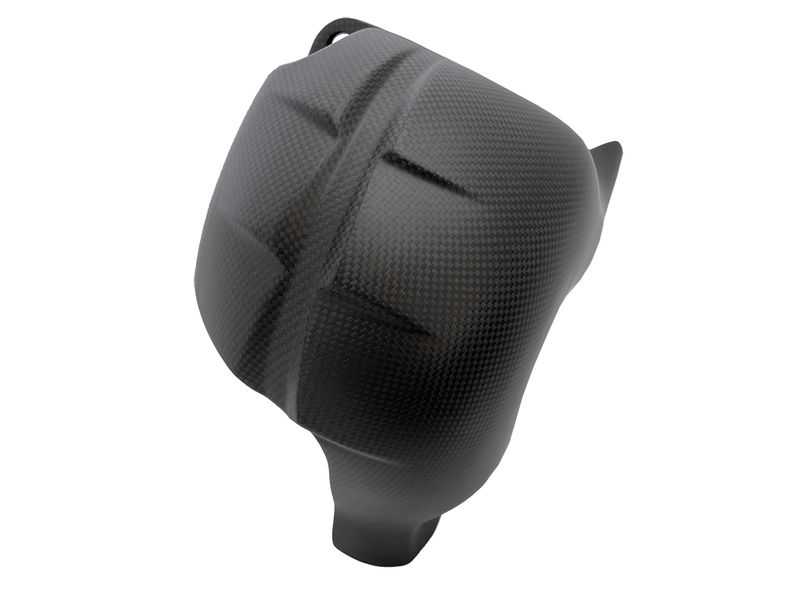 heatguard euro 5 carbon for Ducati Panigale V4 Streetfighter V4