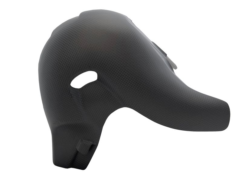 heatguard euro 5 carbon for Ducati Panigale V4 Streetfighter V4
