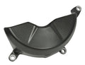engine cover carbon mat performance Ducati Panigale V4, Streetfighter V4