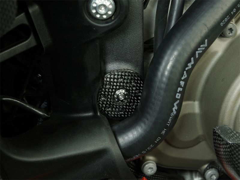 frame plugs front carbonfiber glossy Ducati Panigale V4, Streetfighter V4