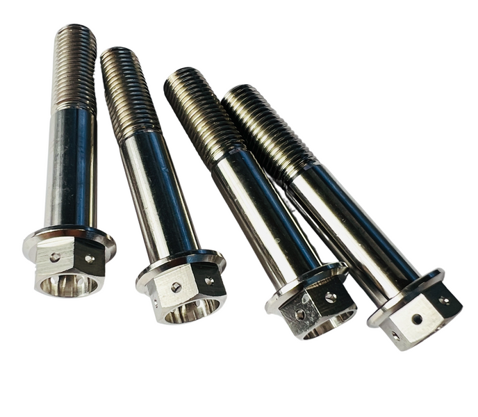 Screw kit brake caliper titanium for Ducati