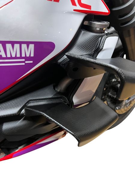 Winglets carbon for Ducati Streetfighter V4 V2