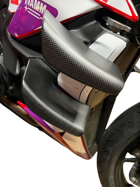 Winglets carbon for Ducati Streetfighter V4 V2
