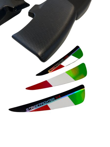 Winglets carbon for Ducati Streetfighter V4 V2