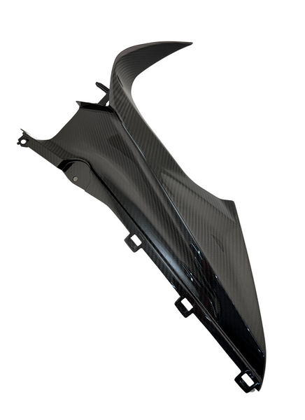 inner side panels carbon for BMW S 1000 RR