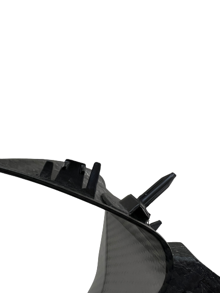 inner side panels carbon for BMW S 1000 RR