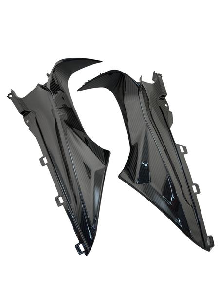 inner side panels carbon for BMW S 1000 RR