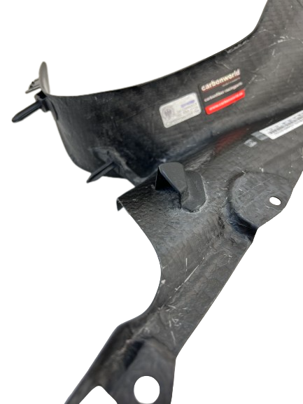 inner side panels carbon for BMW S 1000 RR