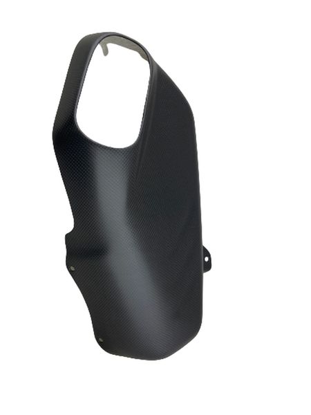 exhaust cover carbon fiber Ducati Streetfighter V4 Panigale V4