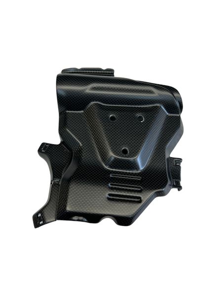 cylinder cover left carbon fiber Ducati 698 Mono