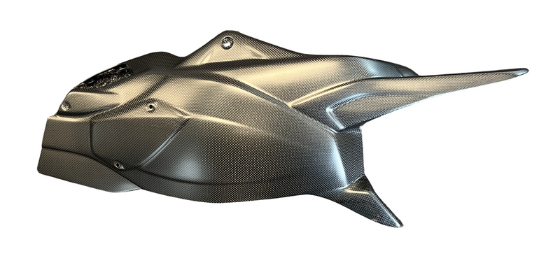 swing arm cover carbon for Ducati Multistrada RS Pikes Peak