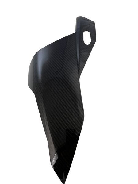 headlight panels carbon for BMW S 1000 RR 2023-