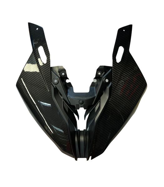 headlight panels carbon for BMW S 1000 RR 2023-