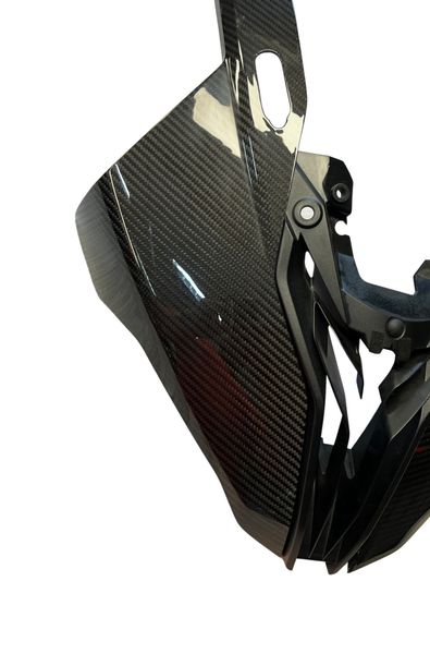 headlight panels carbon for BMW S 1000 RR 2023-
