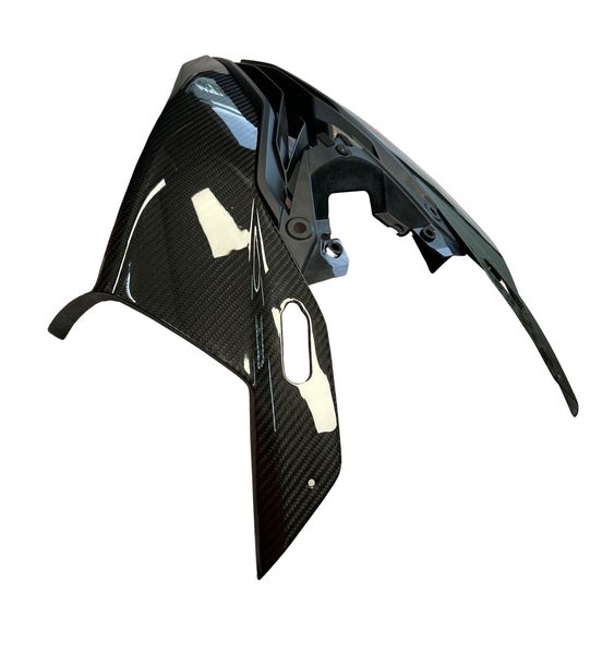 headlight panels carbon for BMW S 1000 RR 2023-