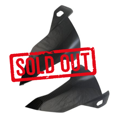 headlight panels carbon for BMW S 1000 RR 2023-