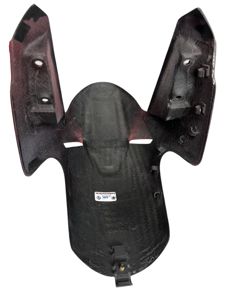 front fender carbon Ducati Panigale V4 V2, Streetfighter V4 V2