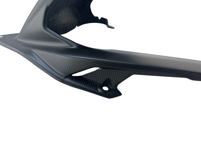rear fender carbonfiber Ducati Streetfighter Panigale V4 2025-