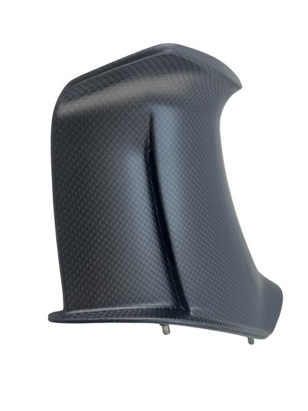 wings carbonfiber Ducati Panigale V4 2025-