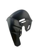 heatguard carbonfiber Ducati Panigale Streetfighter V4 2025-
