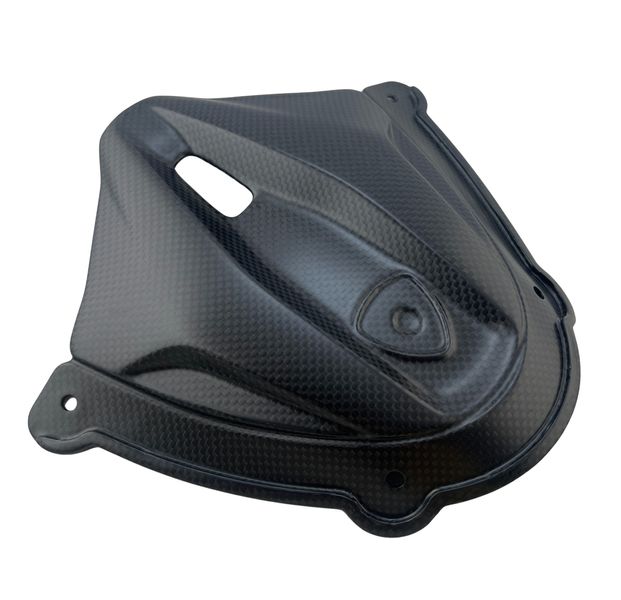 windscreen cover carbonfiber Ducati Panigale V4 2025-