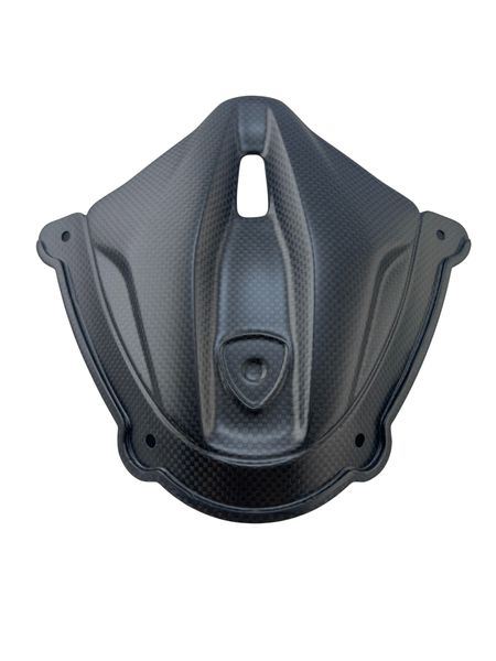windscreen cover carbonfiber Ducati Panigale V4 2025-