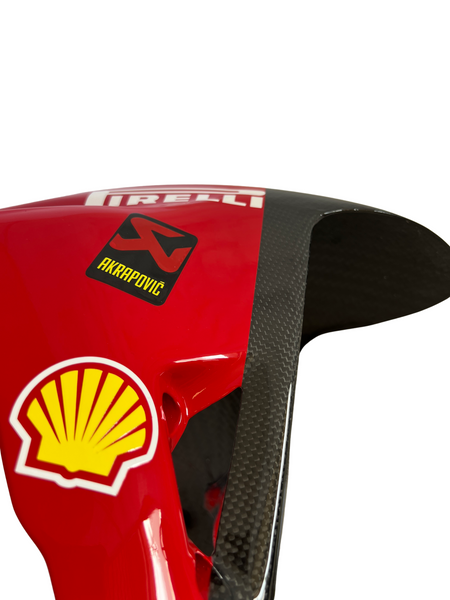 front fender carbon superbike Ducati Panigale / Streetfighter