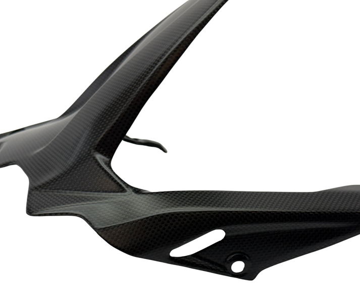 rear fender carbon fiber Ducati Panigale V2 2025-