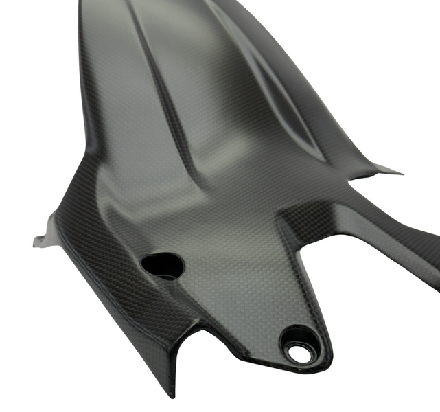 rear fender carbon fiber Ducati Panigale V2 2025-