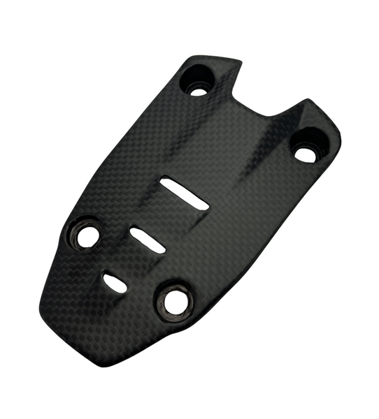 number plate cover carbon for Ducati Panigale Streetfighter V4 V2 2025-