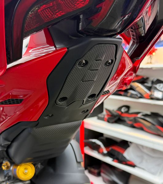 number plate cover carbon for Ducati Panigale Streetfighter V4 V2 2025-