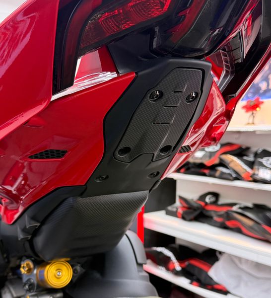 number plate cover carbon for Ducati Panigale Streetfighter V4 V2 2025-