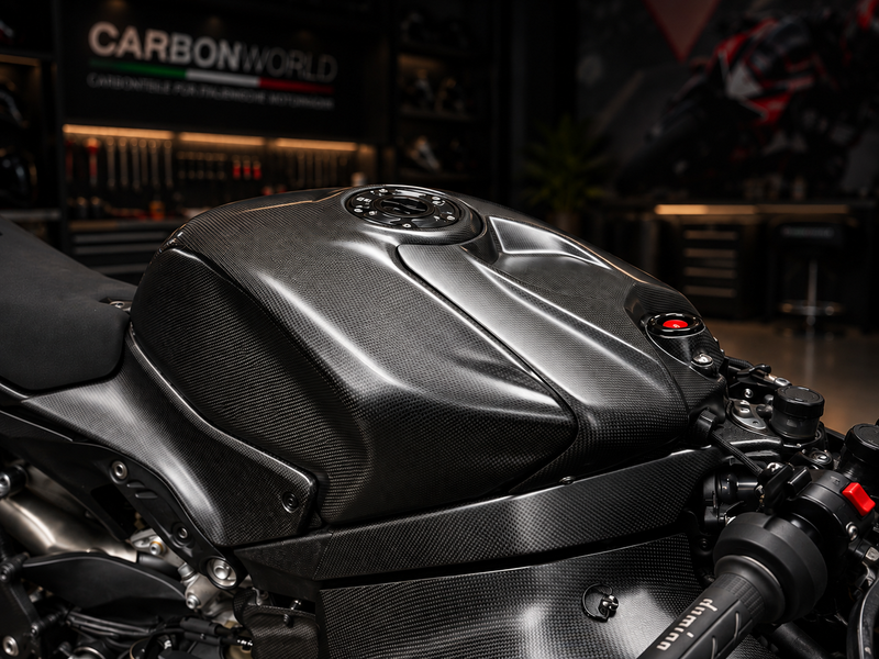 race fairing kit Ducati Carbon Panigale 2025-