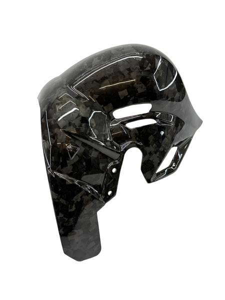 heatguard carbon fiber forged Ducati Panigale Streetfighter V4 2025-