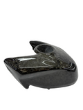 fuel tank cover carbon fiber forged Ducati Panigale Streetfighter V4 2025-