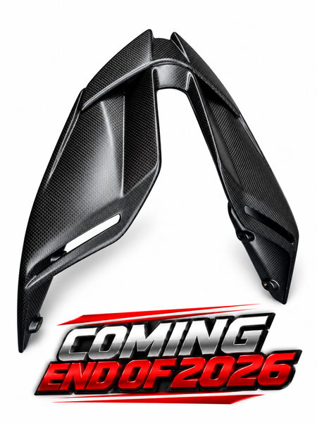 seatcover lambo carbonfiber Ducati Panigale Streetfighter V4 2025-