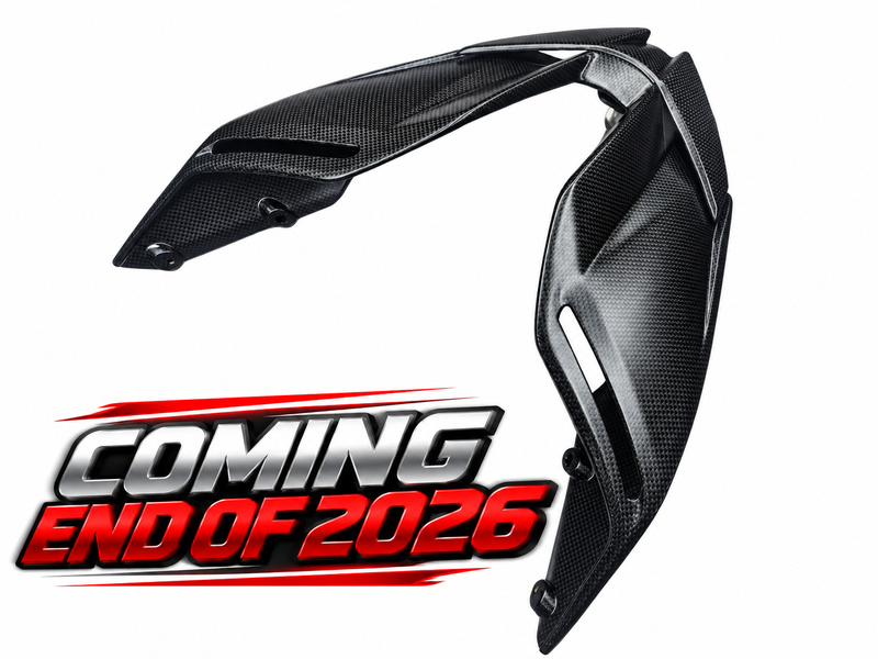 seatcover lambo carbonfiber Ducati Panigale Streetfighter V4 2025-