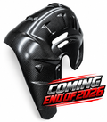heatguard corse carbonfiber Ducati Panigale Streetfighter V4 2025-
